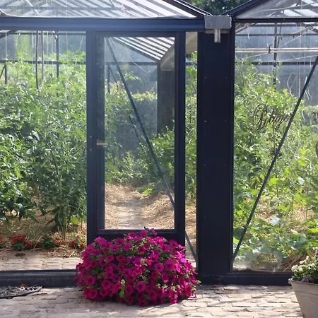 Prim'tout فندق مبيت وإفطار Ohey