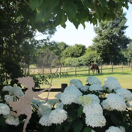 فندق مبيت وإفطار Prim'tout