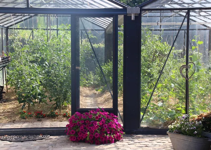 Prim'tout Bed and Breakfast Ohey